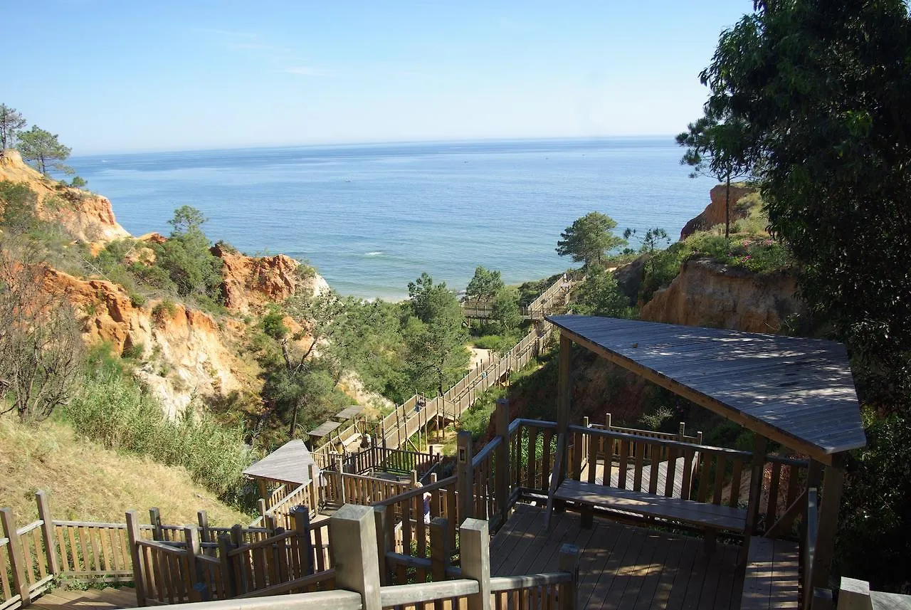 Albufeira 1 Bedroom Apartment 5 Min. From Falesia Beach And Close To Center! E contacts